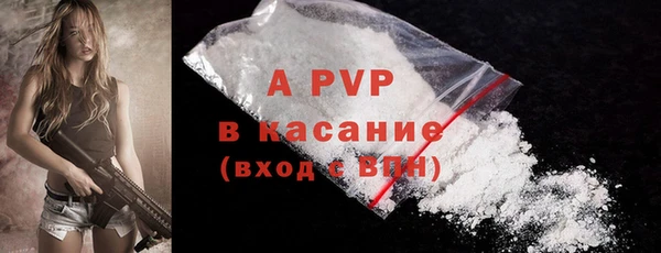 молекула духа Осинники