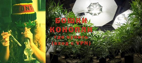 молекула духа Осинники