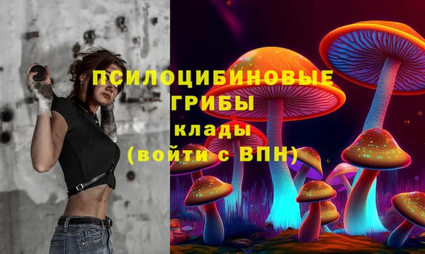 дмт Ельня