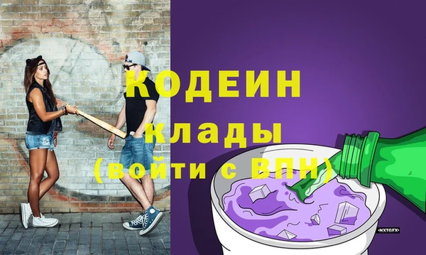 дмт Ельня