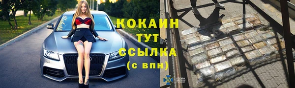 амф Щигры